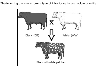 Solved The following diagram shows a type of inheritance in | Chegg.com