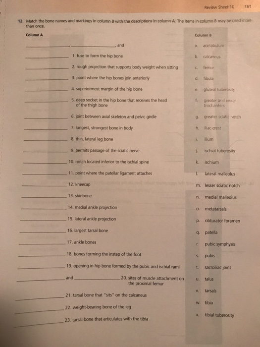 Solved Review Sheet 10 161 12 Match The Bone Names And Chegg Com   Image