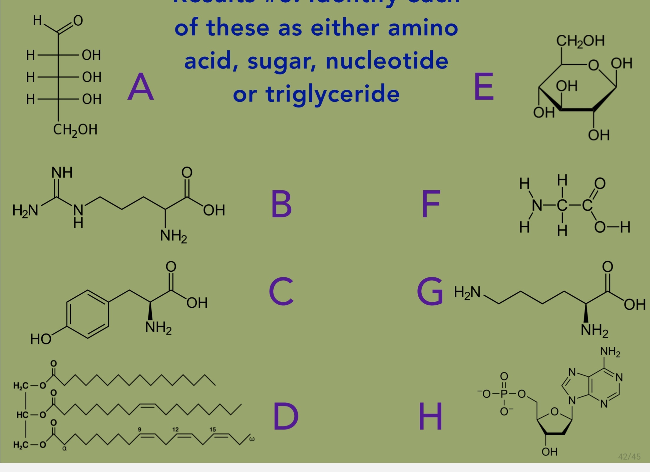 Solved of these as either amino acid, sugar, nucleotide or