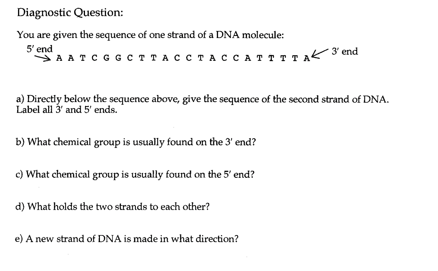 Solved chegg you are given the sequence of one strand of a | Chegg.com