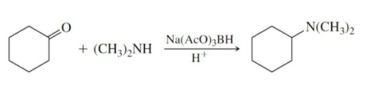 Solved N(CH3)2 Na(AcO)3BH + (CH3)2NH H+ | Chegg.com