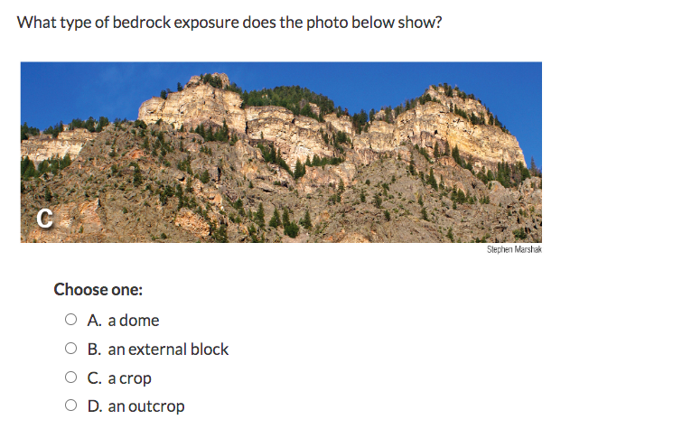 Solved Look at the photomicrograph below. Is this rock | Chegg.com