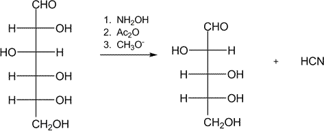 Solved The Wohl degradation is a series of reactions that | Chegg.com