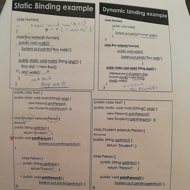 Solved Static Binding example Dynamic binding example class | Chegg.com