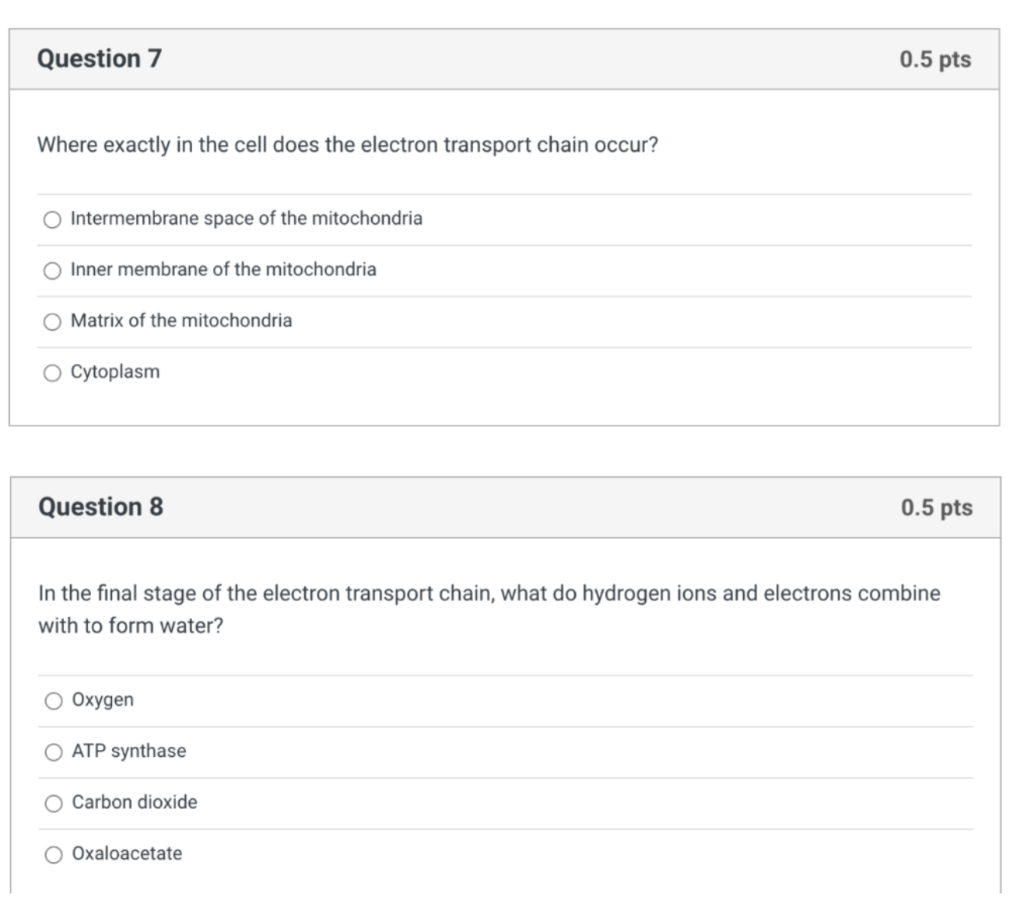 Solved Question 7 0.5 pts Where exactly in the cell does the | Chegg.com