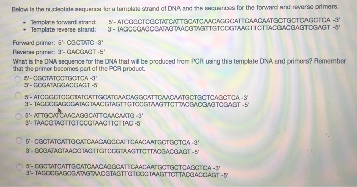 Solved Below is the nucleotide sequence for a template | Chegg.com