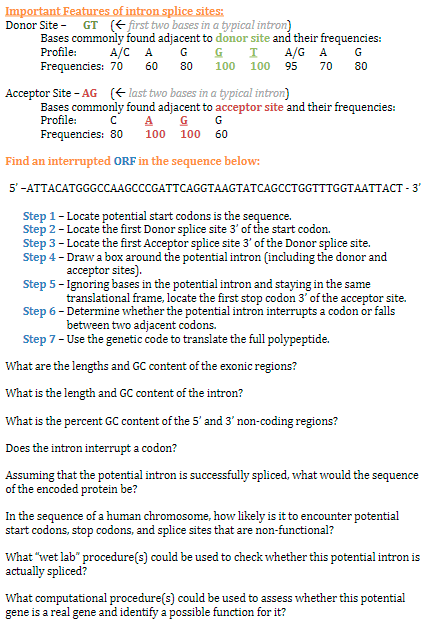 Solved Finding Open Reading Frames (ORFs) In DNA Sequences | Chegg.com