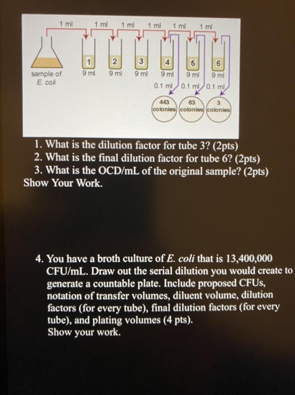 Solved 1. What is the dilution factor for tube 3? (2pts) 2. | Chegg.com