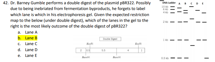 Solved 38. **The next two questions refer to the figure and | Chegg.com