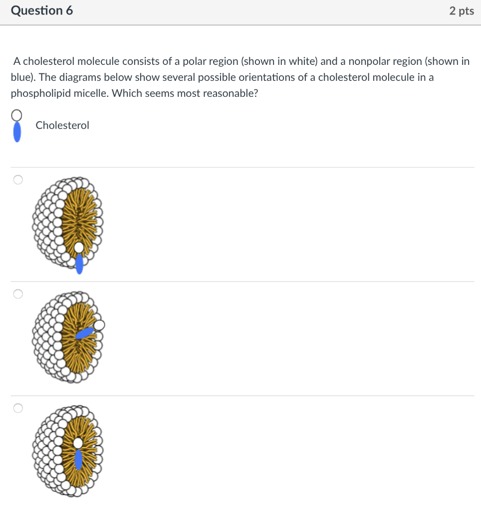 Solved Question 6 2 pts A cholesterol molecule consists of a | Chegg.com