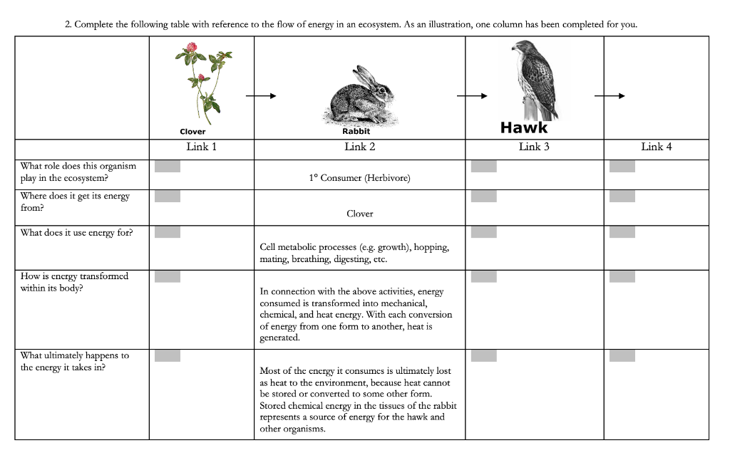 Solved Homework #6 (4 parts) MEADOW ECOSYSTEM FOOD WEB 1. A | Chegg.com