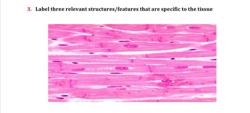 Solved 3. Label three relevant structures/features that are | Chegg.com