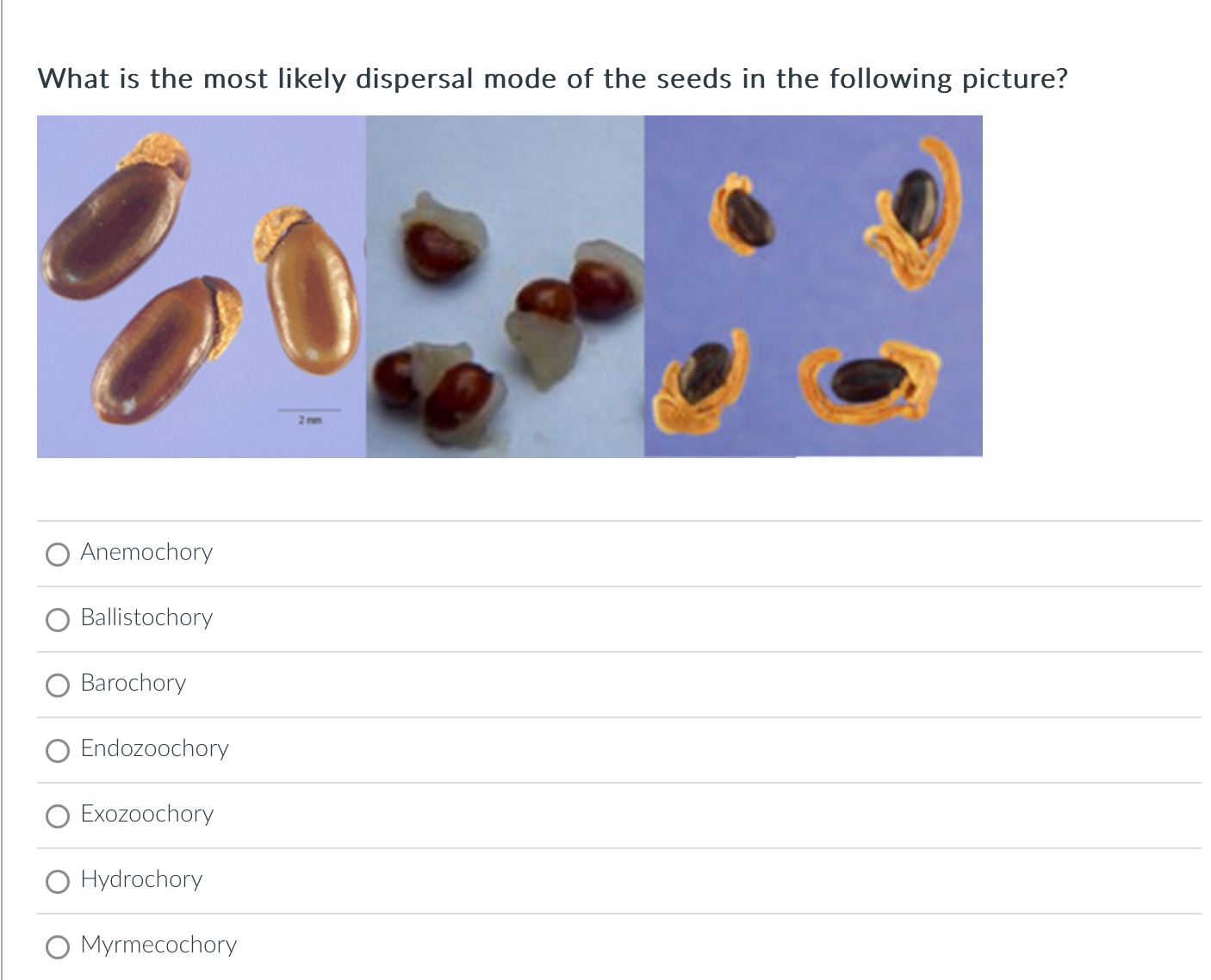 Solved What is the most likely dispersal mode of the seeds