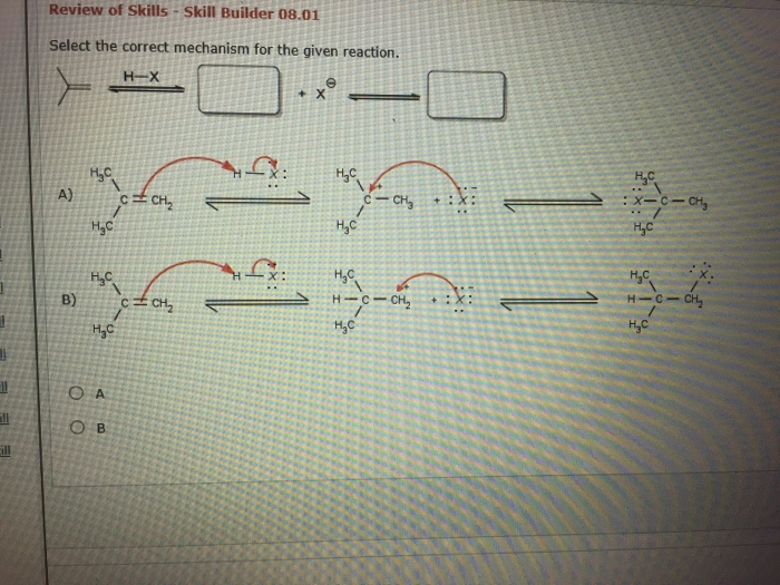Solved Review of Skills- Skill Builder 08.01 Select the | Chegg.com
