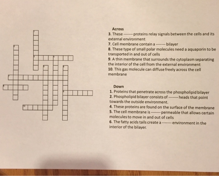 Solved: Solve Crossword Puzzle And Make Sure The Words Fir... | Chegg.com