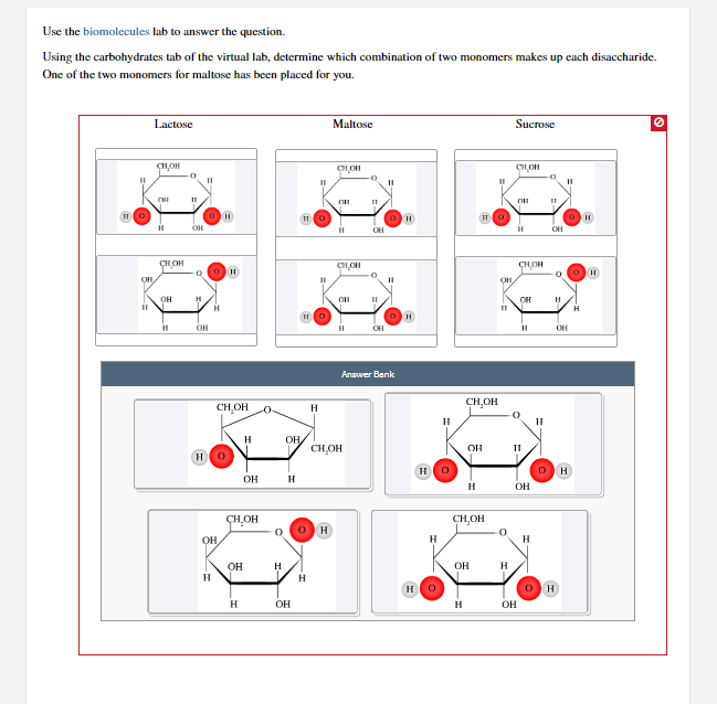 Solved Use the biomolecules lab to answer the question.