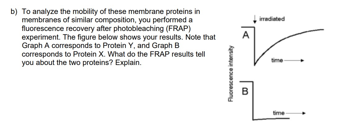 Solved b) To analyze the mobility of these membrane proteins | Chegg.com