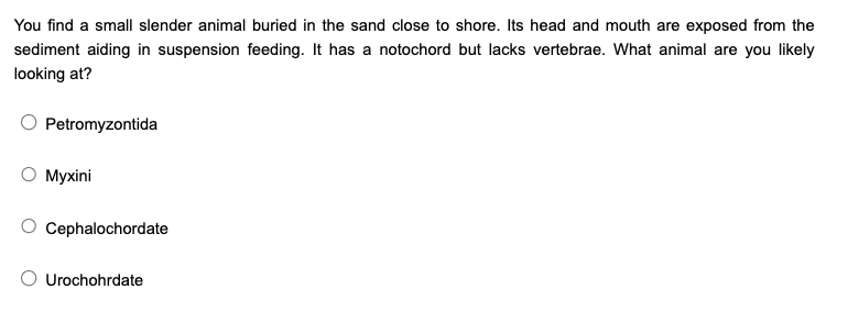 Solved You find a small slender animal buried in the sand | Chegg.com