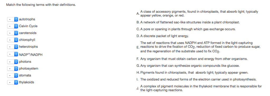 Solved Match the following terms with their definitions. A A