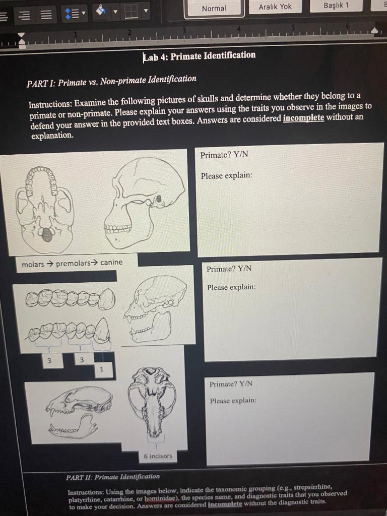Solved Lab 4 Primate Identification PART I Primate vs.
