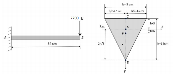 Solved The built-in beam with triangular cross-section, seen | Chegg.com