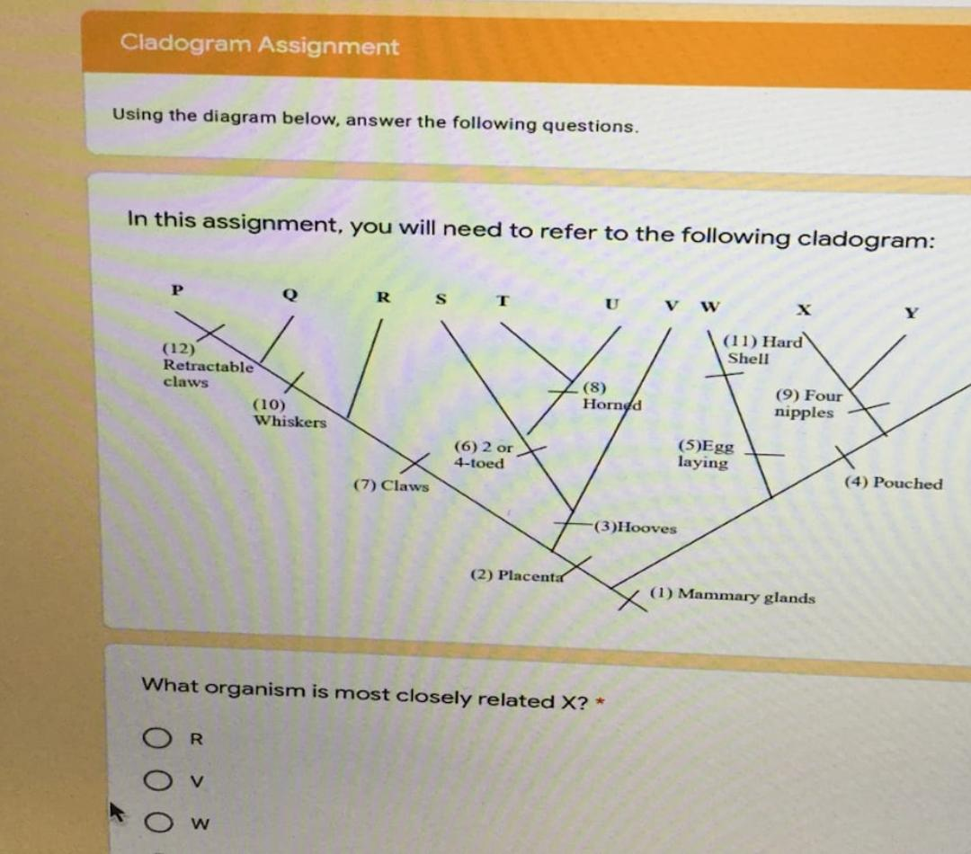 Solved Cladogram Assignment Using The Diagram Below, Answer | Chegg.com