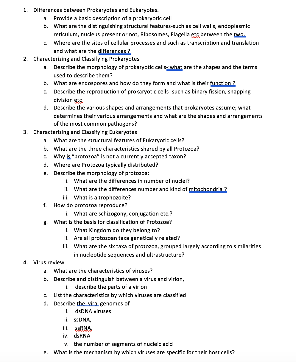 1. Differences between Prokaryotes and Eukaryotes.
a. Provide a basic description of a prokaryotic cell
b. What are the disti