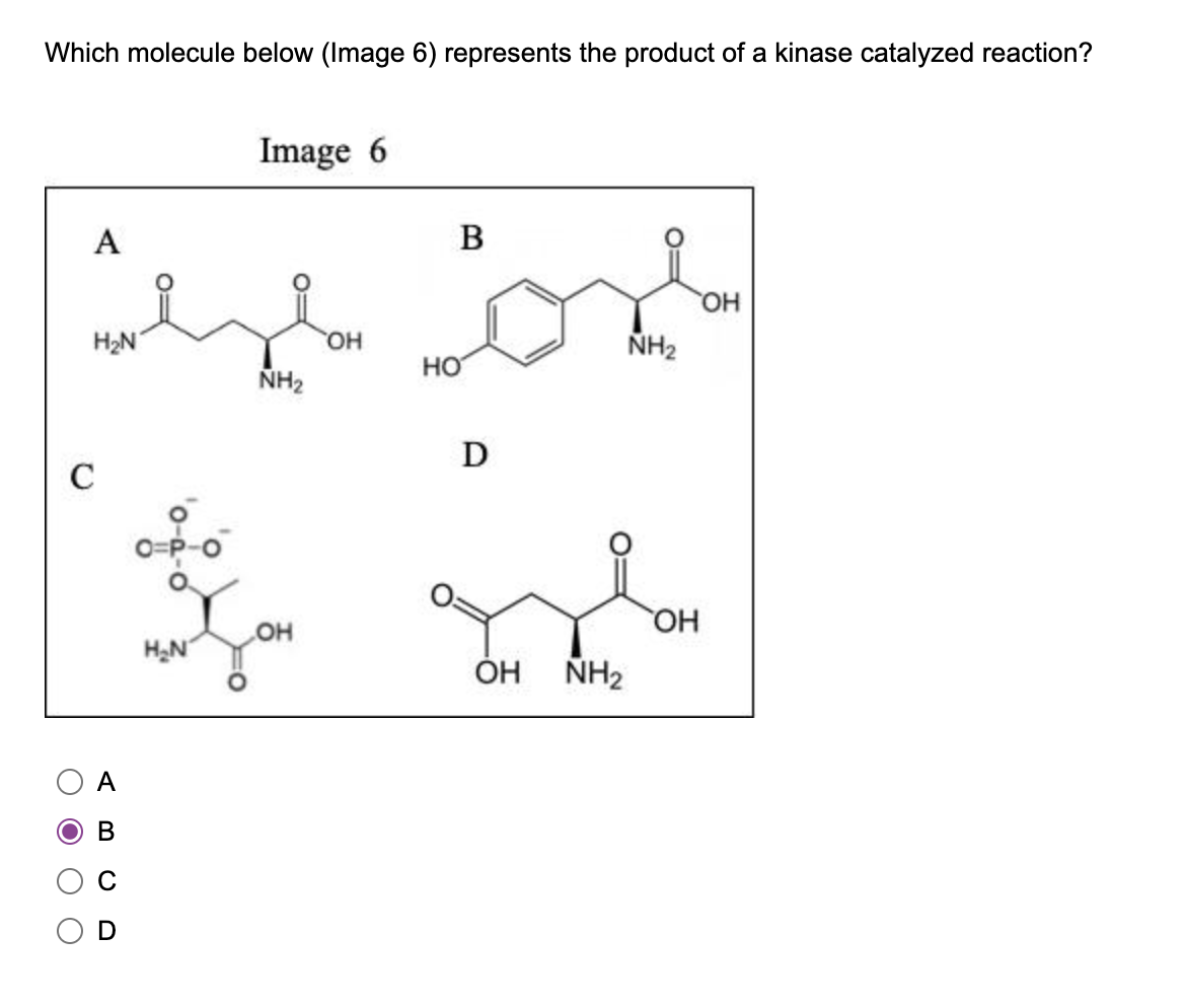 solved-is-which-molecule-below-image-6-represents-the-chegg