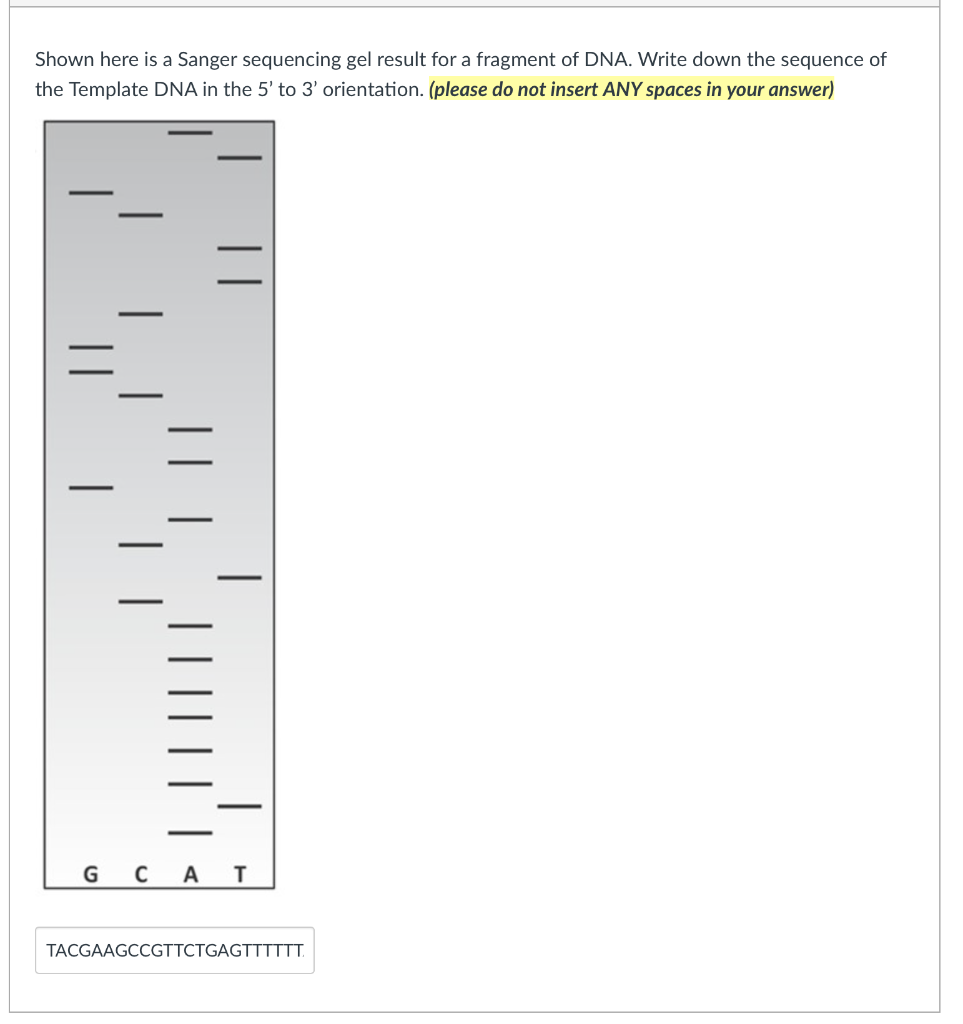 Shown here is a Sanger sequencing gel result for a | Chegg.com