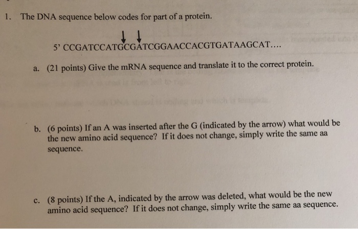 Solved The DNA sequence below codes for part of a protein. | Chegg.com