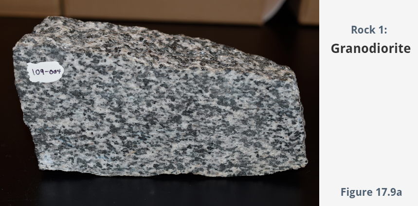 Solved Examine the eight rock samples in the slide deck | Chegg.com