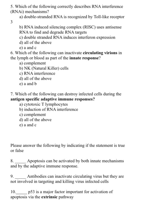 Solved Which of the following correctly describes RNA | Chegg.com