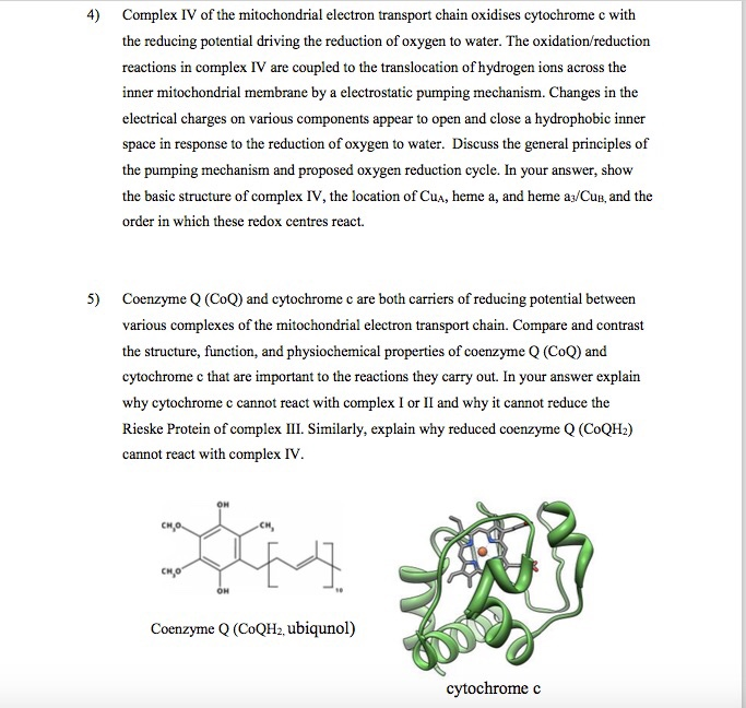 Solved Complex IV of the mitochondrial electron transport | Chegg.com