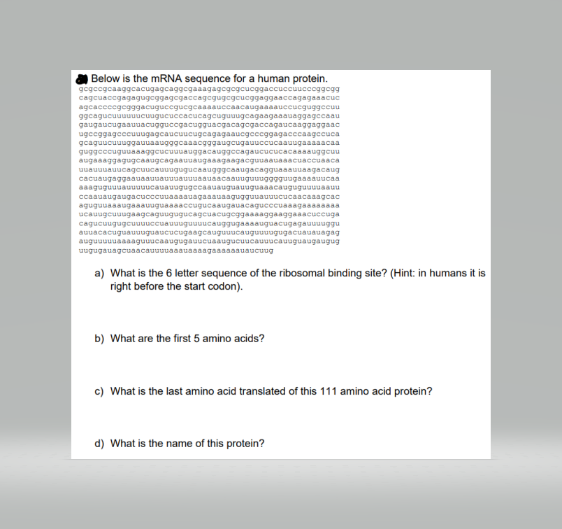 Solved Below is the mRNA sequence for a human protein. | Chegg.com