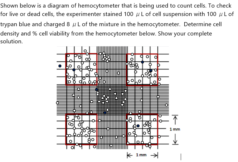 cell-density-calculator-athlinaatreya