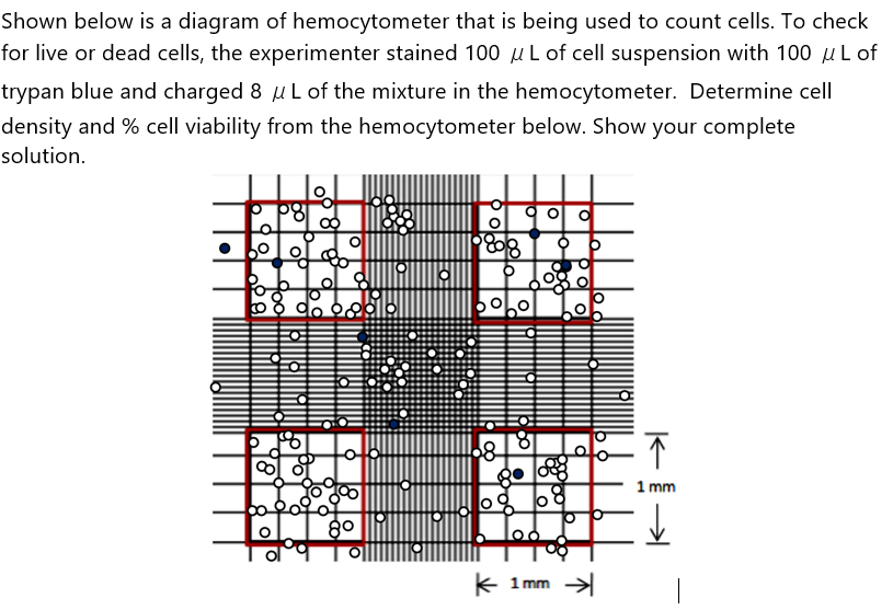 solved-shown-below-is-a-diagram-of-hemocytometer-that-is-chegg