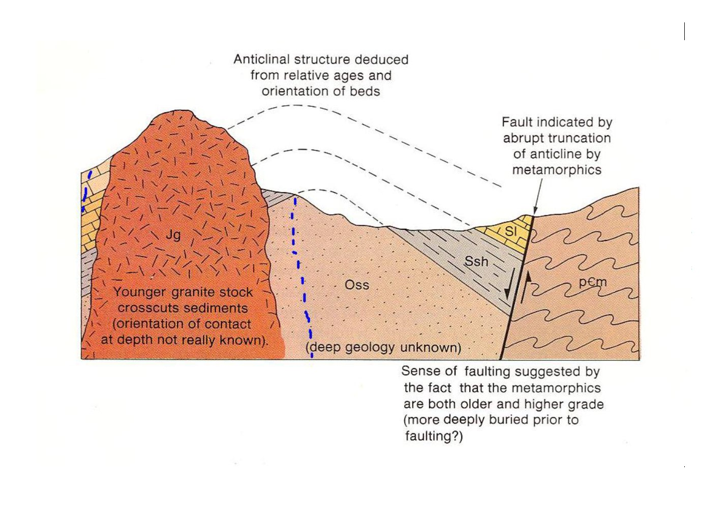 Solved Anticlinal structure deduced from relative ages and | Chegg.com
