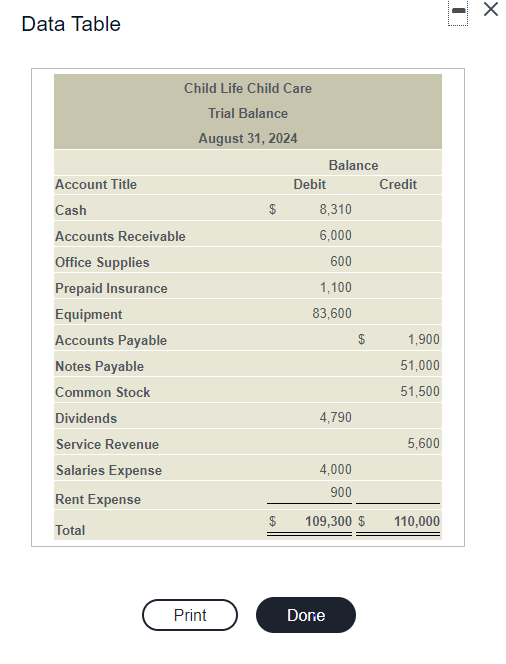 Solved The trial balance of Child Life Child Care does not