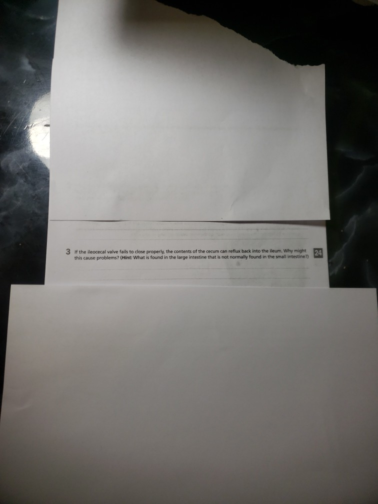 Solved 3 If the ileocecal valve fails to close properly, the