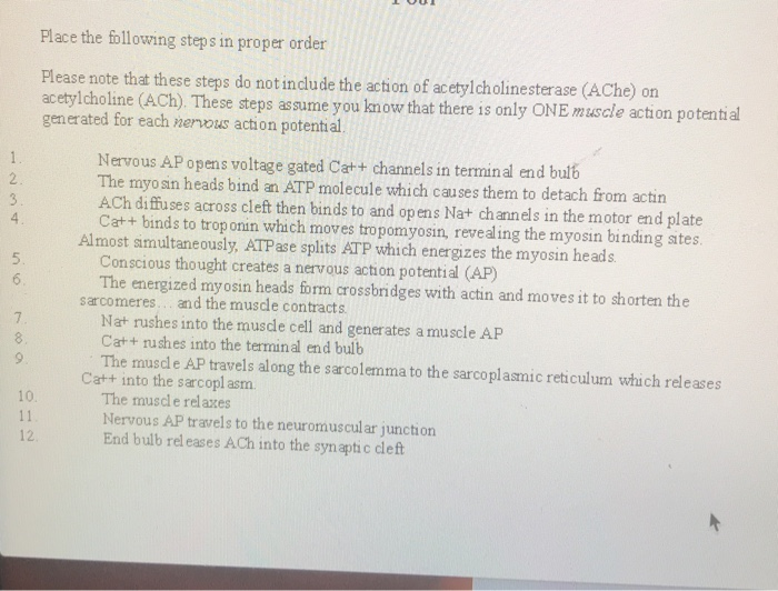 Solved Place the following steps in proper order Please note | Chegg.com