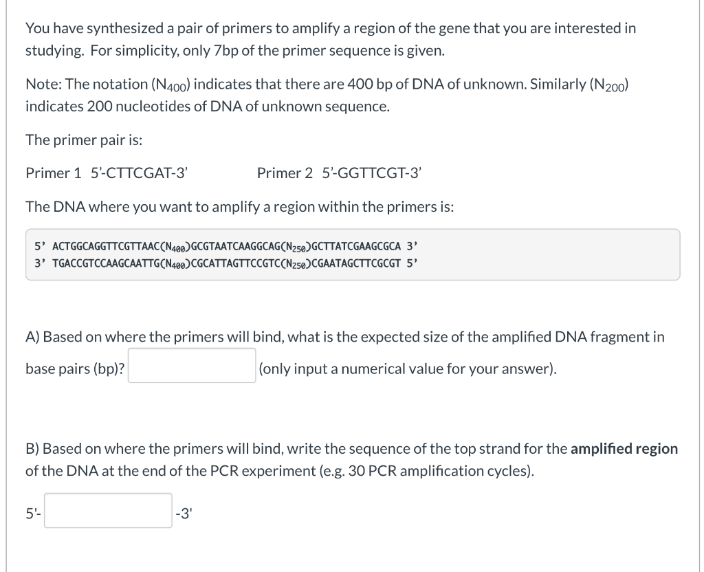 Solved You have synthesized a pair of primers to amplify a