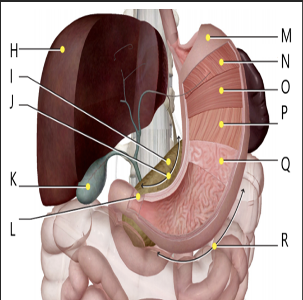 Solved please label the assigned diagram | Chegg.com