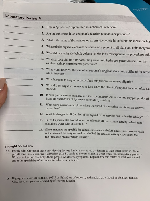 Solved Laboratory Review 4 1 How Is produces Represented Chegg