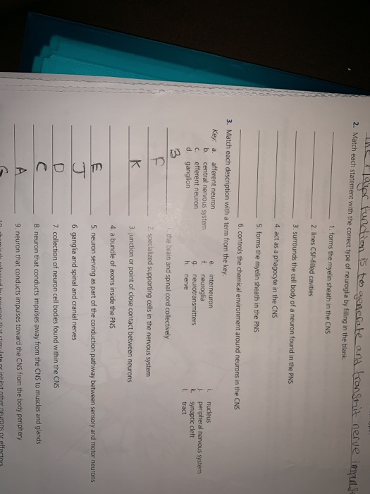 Solved 2. Match each statement with the correct type of