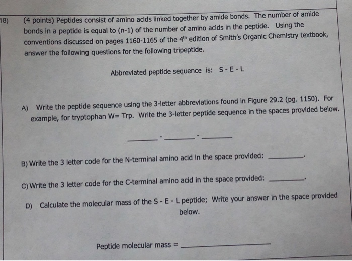 Solved 18) ( 4 points) Peptides consist of amino acids | Chegg.com