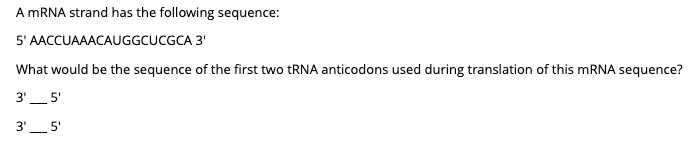Solved A mRNA strand has the following sequence: 5' | Chegg.com