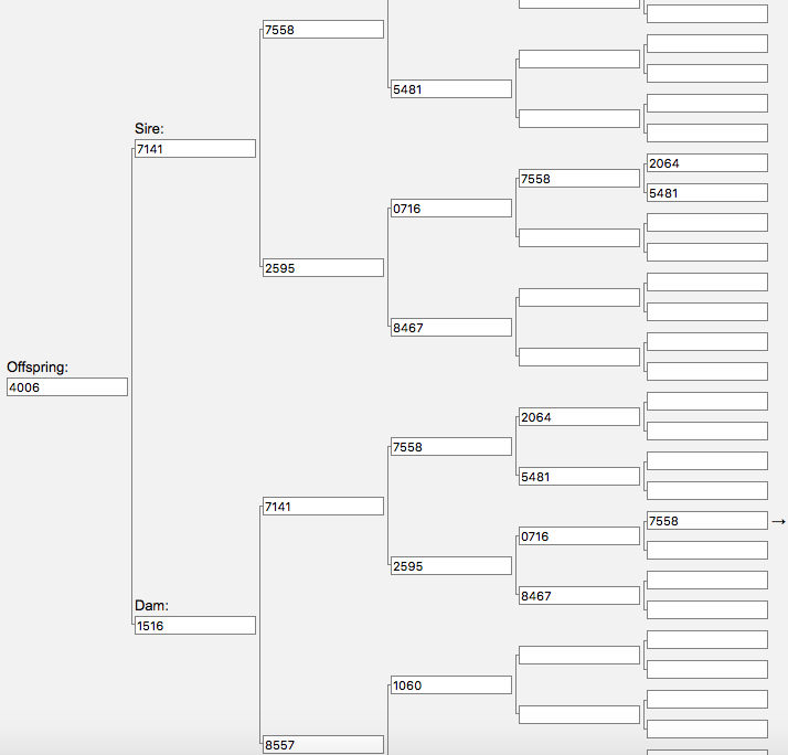 Interpreting inbred pedigree. The ancestors that are | Chegg.com