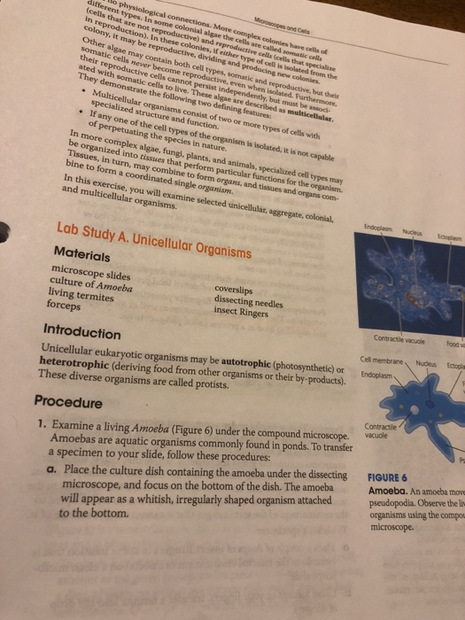 How can I write a method section based on this ? | Chegg.com