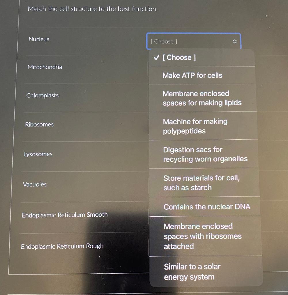 Solved Match the cell structure to the best function. | Chegg.com
