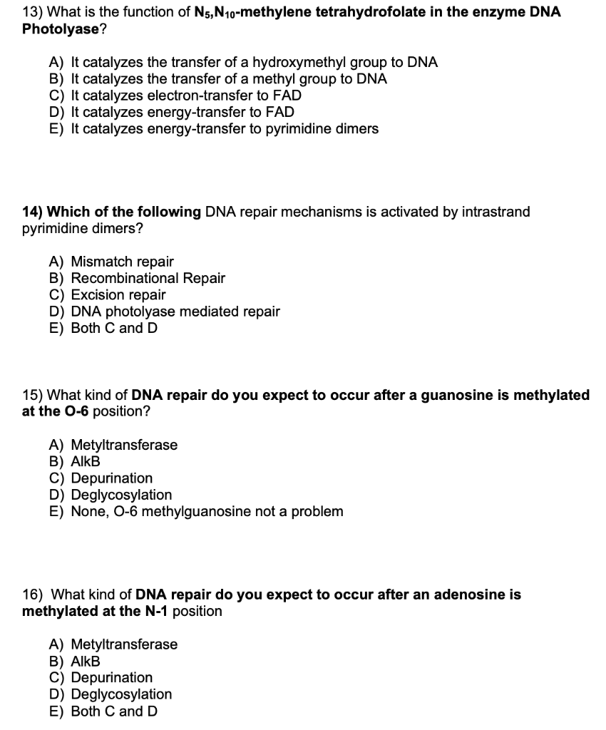 Solved 13) What is the function of N5, N10-methylene | Chegg.com